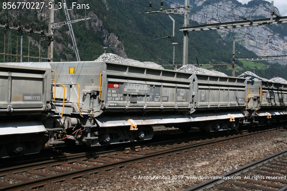 856770227-5_31_Fans.JPG